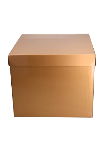 Luxe Geschenkdoos Torino Goud Glossy FSC® 40x40x35cm 20stuks