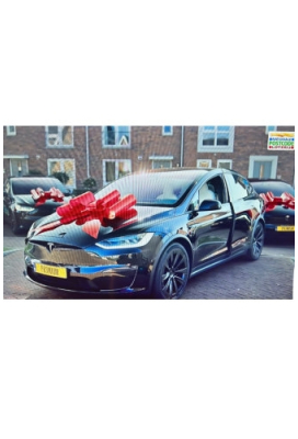 Megastrik Autostrik Toronto Rood 86x103cm