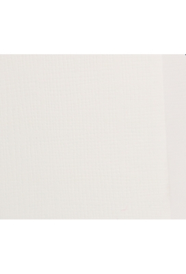 Bierverpakking Draagdoos Brugge Wit Relief voor 4 flesjes 33cl 10stuks