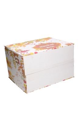 Geschenkdozen Herfstbox 31x20x14cm 30stuks