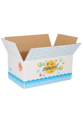 Geschenkdozen Zomer 31x20x14cm 30stuks