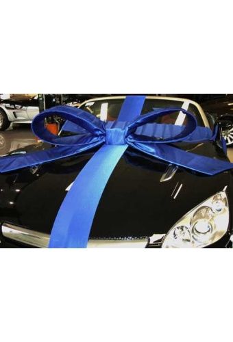 Super Autostrik Salerno Blauw 120x100x50cm Met Lint En Zuignap2