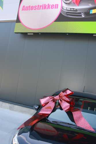 Magnum Autostrik Livorno Rood Met Panter Print Zwart 70x50+60cm