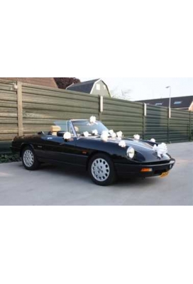 Trouwpakket Voor Auto Met Strikken en Lint Gelakt Wit 21delig