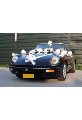 Trouwpakket Voor Auto Met Strikken en Lint Iris Wit 21delig