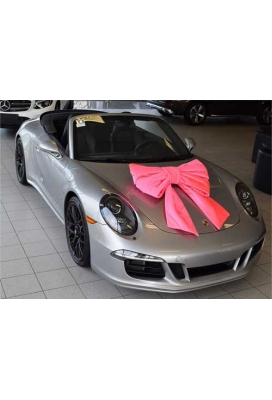 Megastrik Dubbel Pink Lucca 77x50+40cm & Zuignap lint 25cm