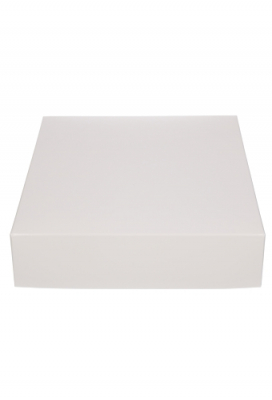 Geschenkdoos & Deksel Gaby Wit Blinkend 25x20x5cm 50stuks