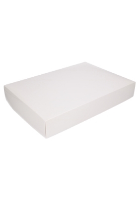 Geschenkdoos & Deksel Gaby Wit Blinkend 37x26x6cm 50stuks