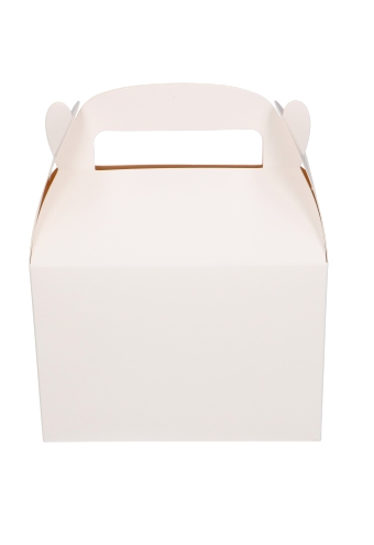 Draagdoos Lunchbox Danau Wit 17.3x11.4x12.3cm 25stuks