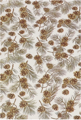 Kadofolie Dubbelzijdig Mint Groen & Dennenappeltjes 70cmx50meter