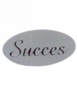 Etiketten Everyday Succes Zilver 4x2 cm 500stuks
