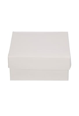 Geschenkdoos & Deksel Gaby Wit Blinkend 12x12x5.5cm 100stuks